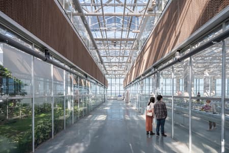 Vertical Farm Hengshui
